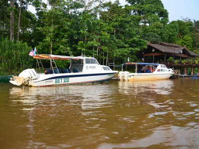 Sukau Rainforest Lodge